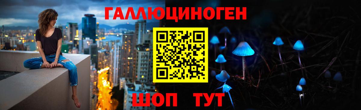 Псилоцибиновые грибы Psilocybe Павлово